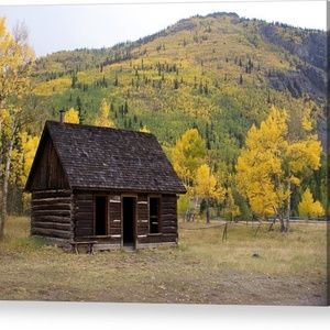 Meet your Posher, Raven